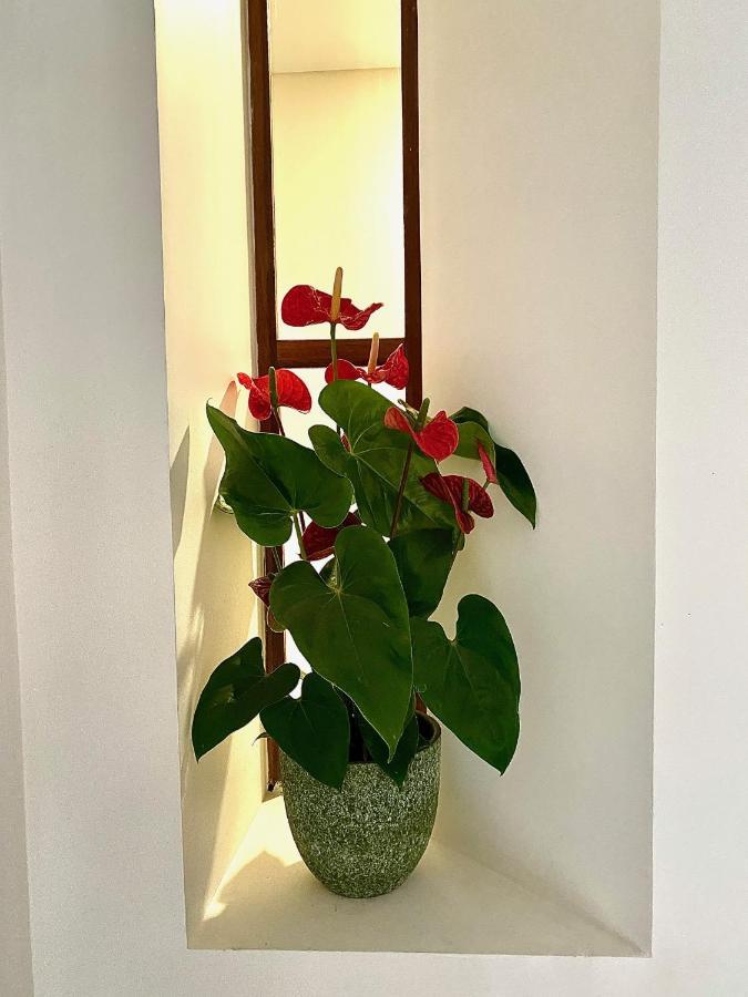 Douro B&B Avenida เรเซนด์ ภายนอก รูปภาพ